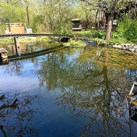 Ferienwohnung In Peetzig Am See 安格尔明德 外观 照片