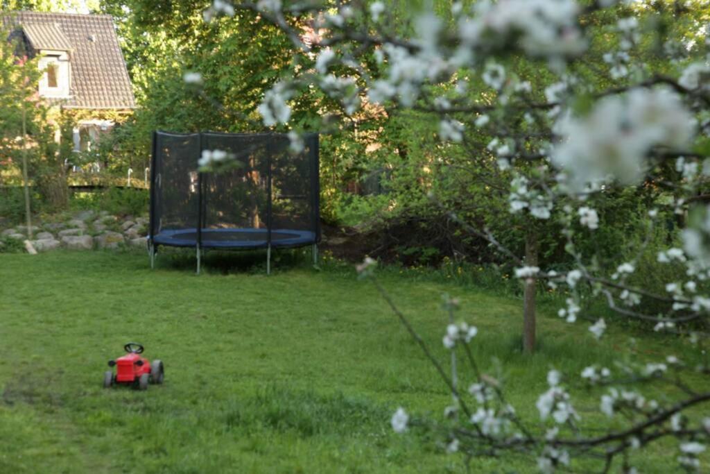 Ferienwohnung In Peetzig Am See 安格尔明德 外观 照片