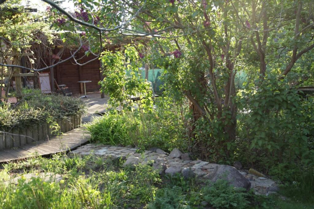 Ferienwohnung In Peetzig Am See 安格尔明德 外观 照片