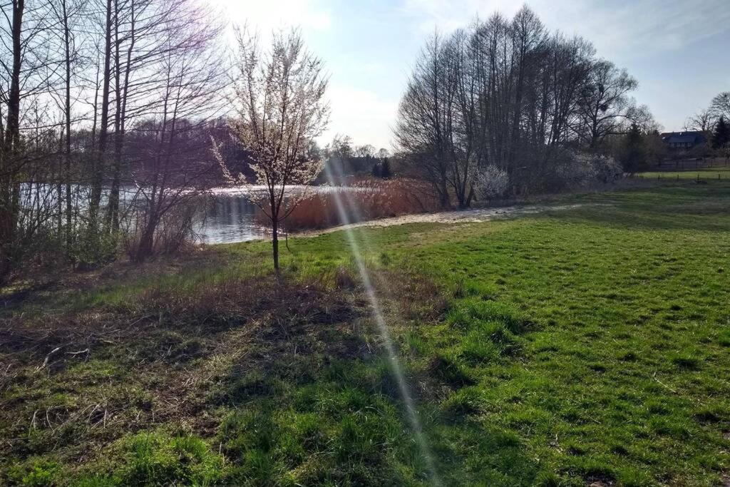Ferienwohnung In Peetzig Am See 安格尔明德 外观 照片