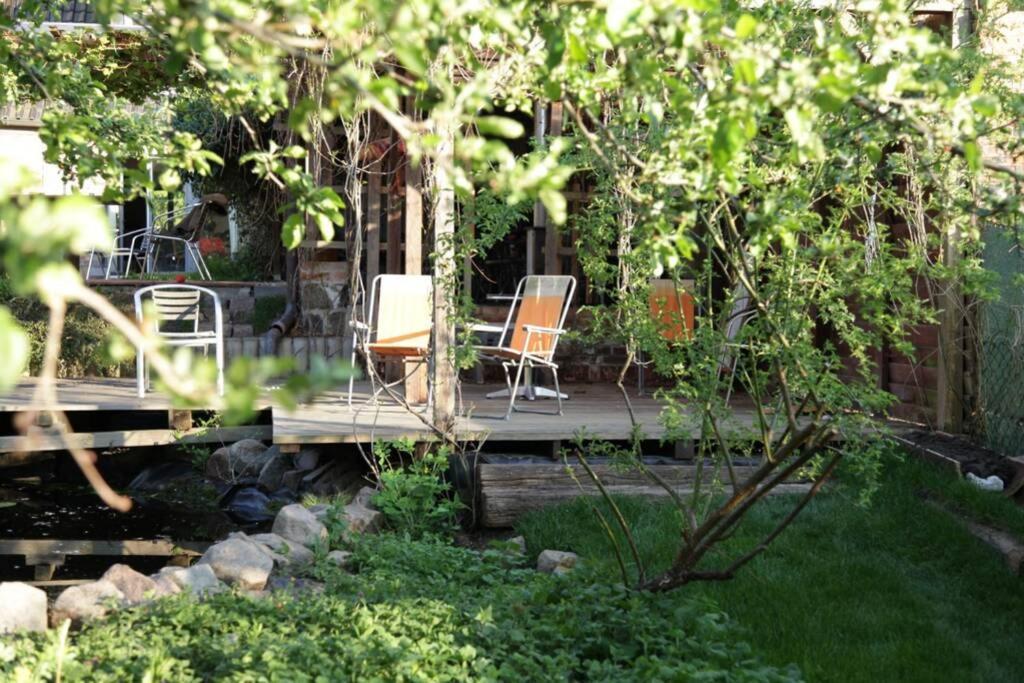 Ferienwohnung In Peetzig Am See 安格尔明德 外观 照片