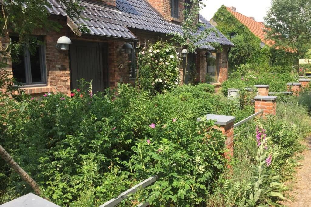 Ferienwohnung In Peetzig Am See 安格尔明德 外观 照片